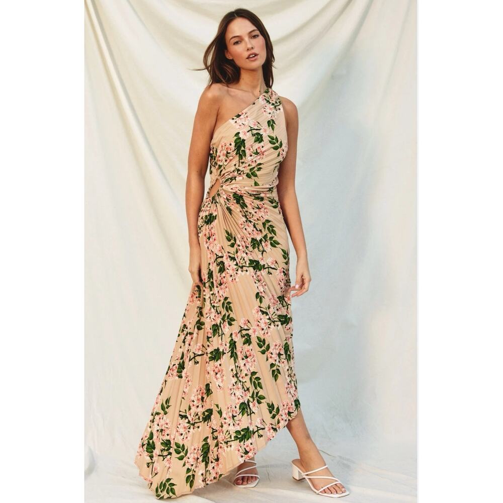 Dress Forum One-Shoulder Floral Midi Dress in Blush and Green